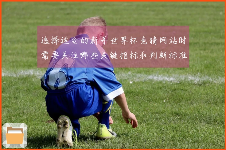 选择适合的新手世界杯竞猜网站时需要关注哪些关键指标和判断标准