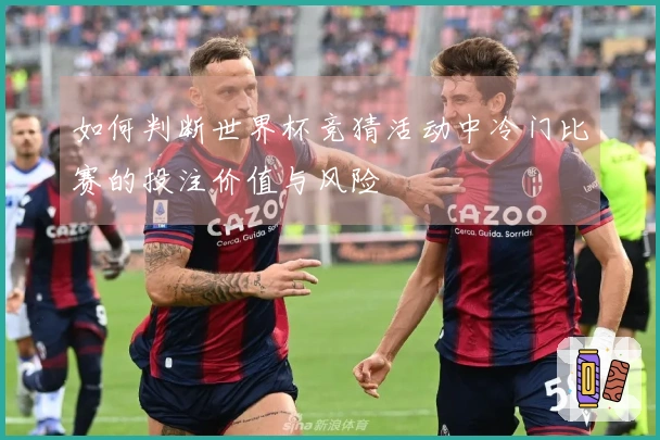 如何判断世界杯竞猜活动中冷门比赛的投注价值与风险