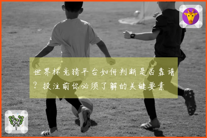 世界杯竞猜平台如何判断是否靠谱？投注前你必须了解的关键要素