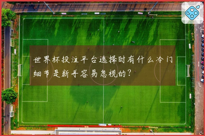 世界杯投注平台选择时有什么冷门细节是新手容易忽视的？