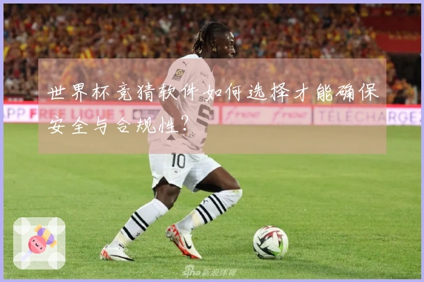 世界杯竞猜软件如何选择才能确保安全与合规性？