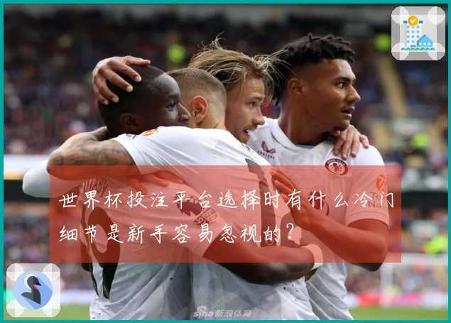 世界杯投注平台选择时有什么冷门细节是新手容易忽视的？