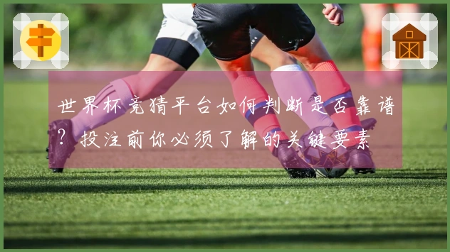 世界杯竞猜平台如何判断是否靠谱？投注前你必须了解的关键要素
